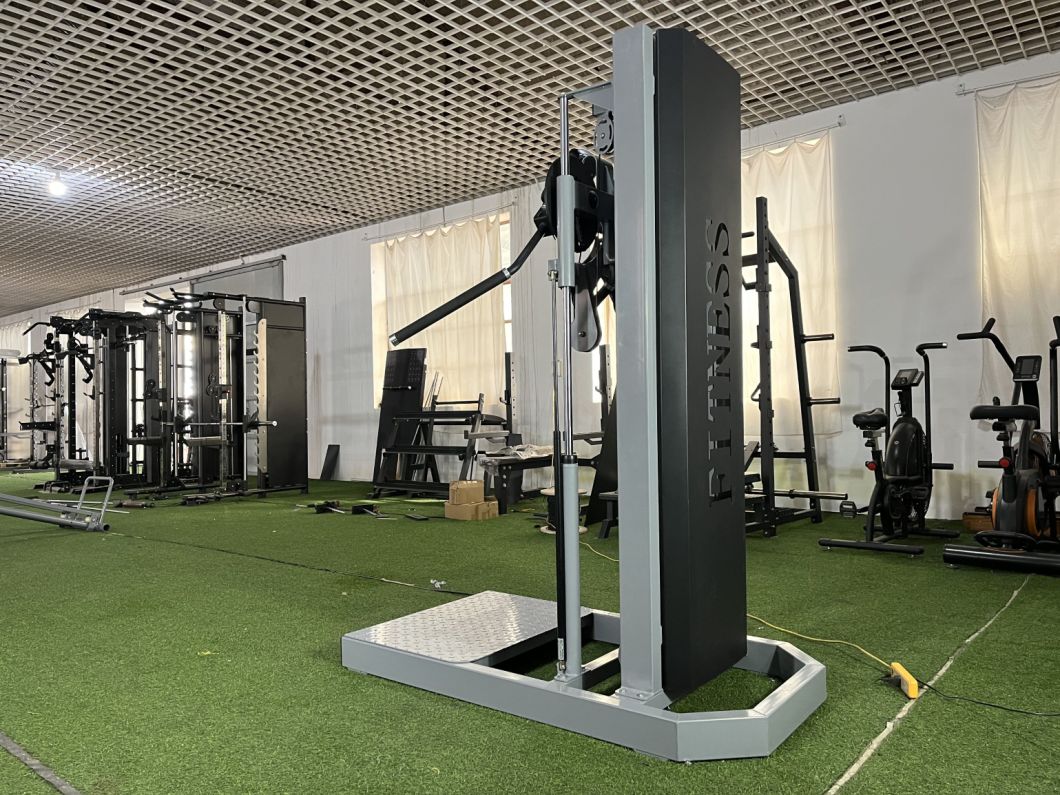 Vertical Side Lift Hot Selling Commercial Gym Equipment