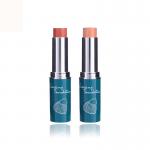 Professinal creamy concealer Waterproof high quality make up fondation Stick For Cheek 5 Color