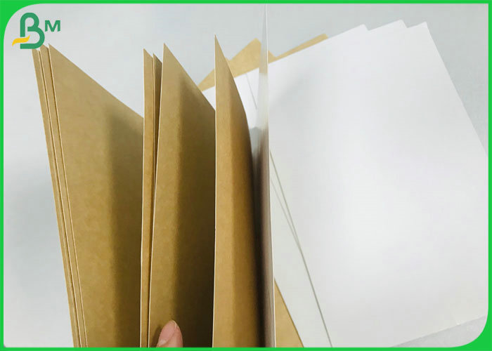CCKB Board 250g 300g Clay Coated Kraft Back Paper Board with FSC Approved