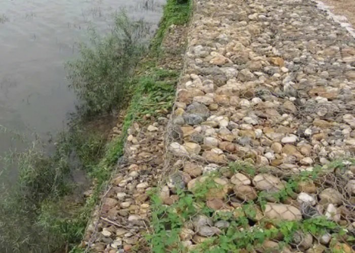Metal Gabion Baskets The Versatile Choice for River Training and Protection