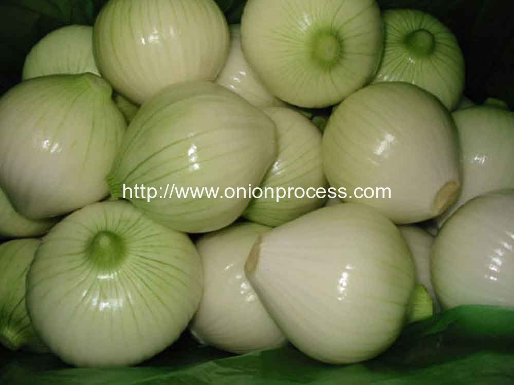Onion-Peeling-Machine-and-Root-Cutting-Machine