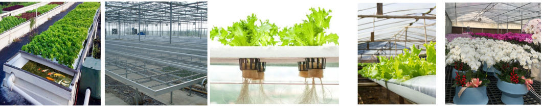 Customizable Hydroponic System for Vegetables and Flowers
