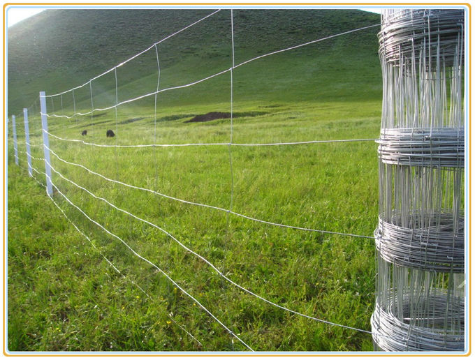 Galvanized Wire Mesh Fence Field 164ft Zoo Wild Fencing Roll Hardware