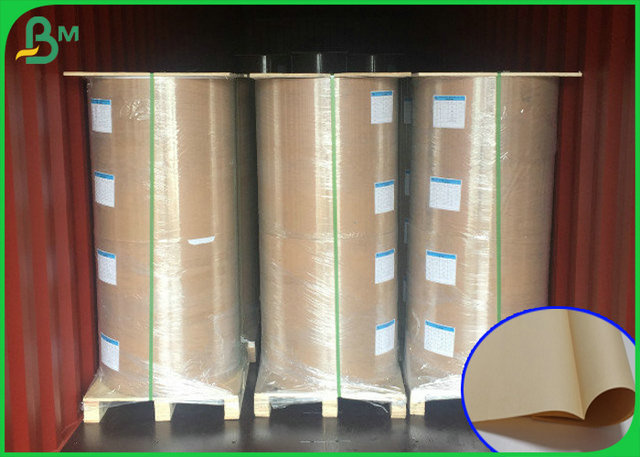 80gsm 100gsm Degradable Bamboo Pulp Kraft Paper For Envelope printing