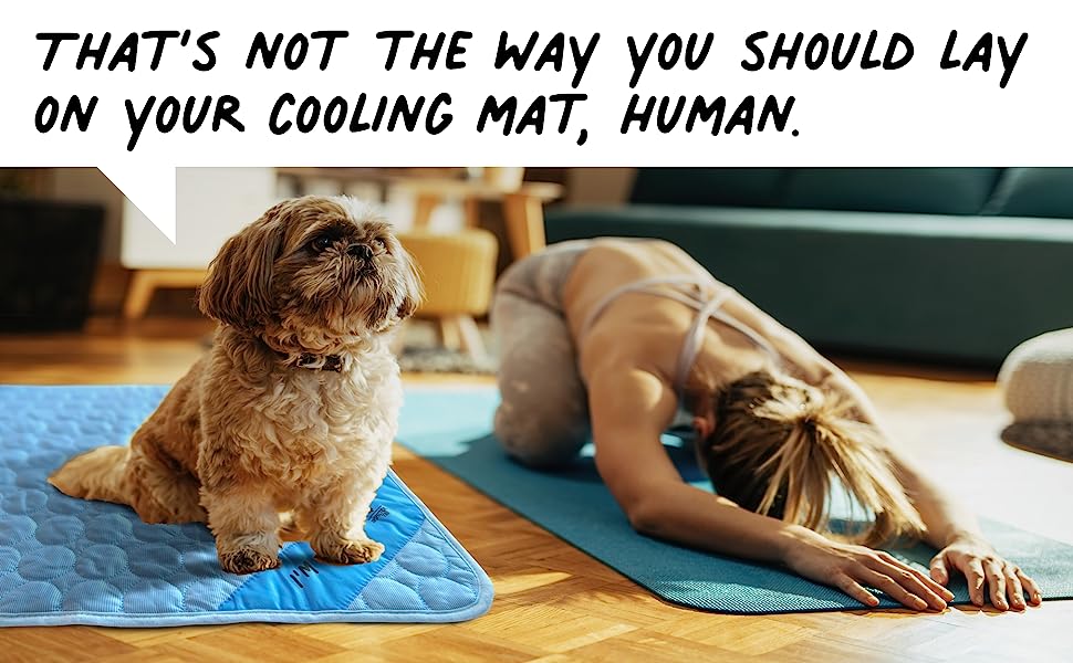 cooling mat dog cat Inspector Tail
