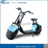 China New customized 1000W citycoco 18*9.5 big two wheels electric scooter harley on sale