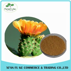 High Quality Loss Weight Product Cactus Flower Extract
