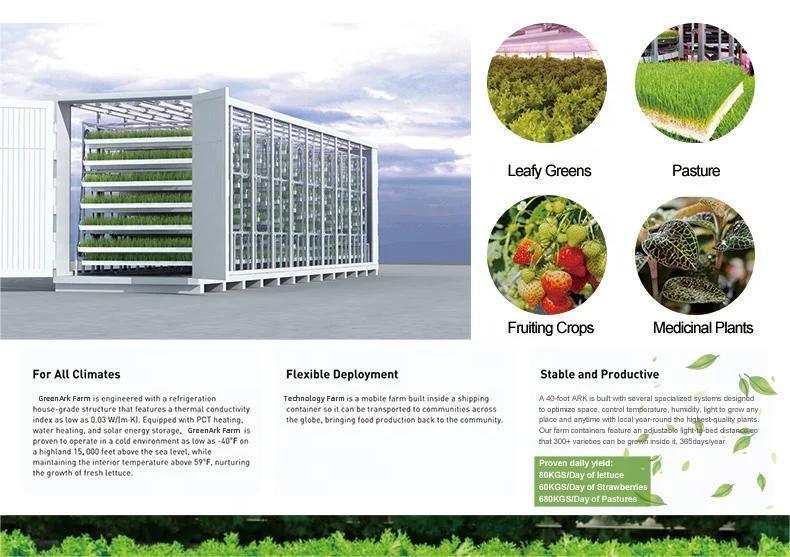 Indoor Hydroponics Commercial Microgreen Growing System Hydroponics Fodder System Greenhouse Hydroponics Fodder Container