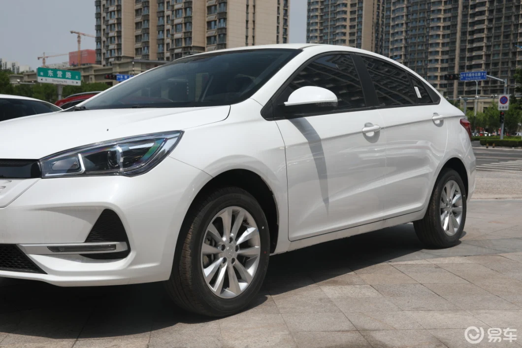Raysince Good Quality Electric Car Adult Vehicle Wholesales Cheap Price Sedan Electric Car