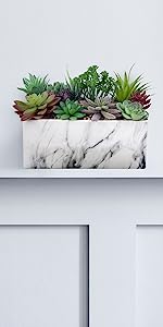 Marble Succulent Planter at Home