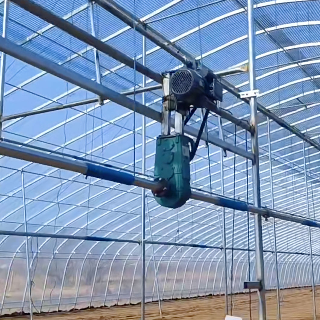 Film Solar Greenhouses Steel Structure Single Span Tunnel Greenhouse