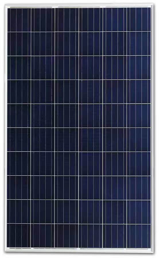 Poly Solar Panel 250W (CNSDPV250(60)P6-50/45)