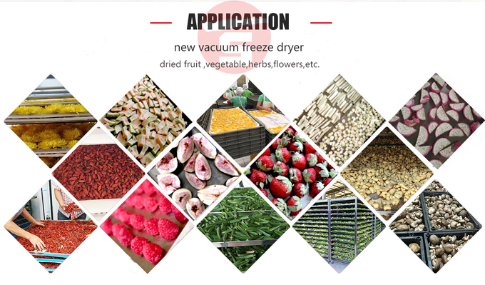 4/8/12 Trolleys Industrial Heat Pump Oven Dryer Machine Fruit Vegtable Dehydrator 0