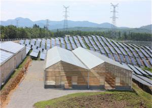 China High Density Greenhouse Solar System Economical Planting Hot Dip Galvanized Steel Structure on sale 