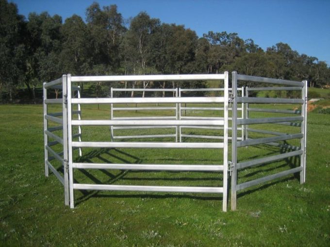From Budget Cattle Panels To Extra Heavy Duty Portable Corral Panels For Cattle