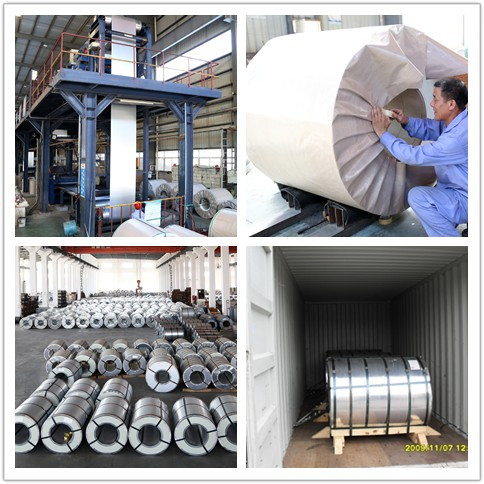 Galvanized Steel Sheet in Coils PVC Film Coated