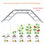 High PPFD 1000W LED Grow Lights Horticulture Dimmable Full Spectrum