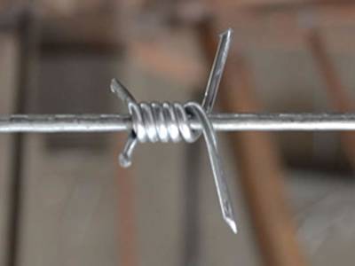 Single strand galvanized barbed wire