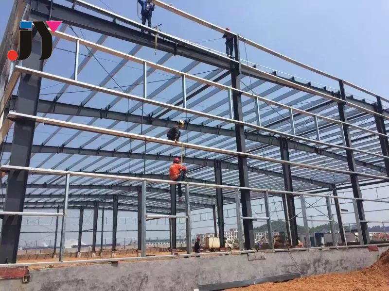 Environmental Protection Steel Structure Dairy Cow Shed House Farm Design