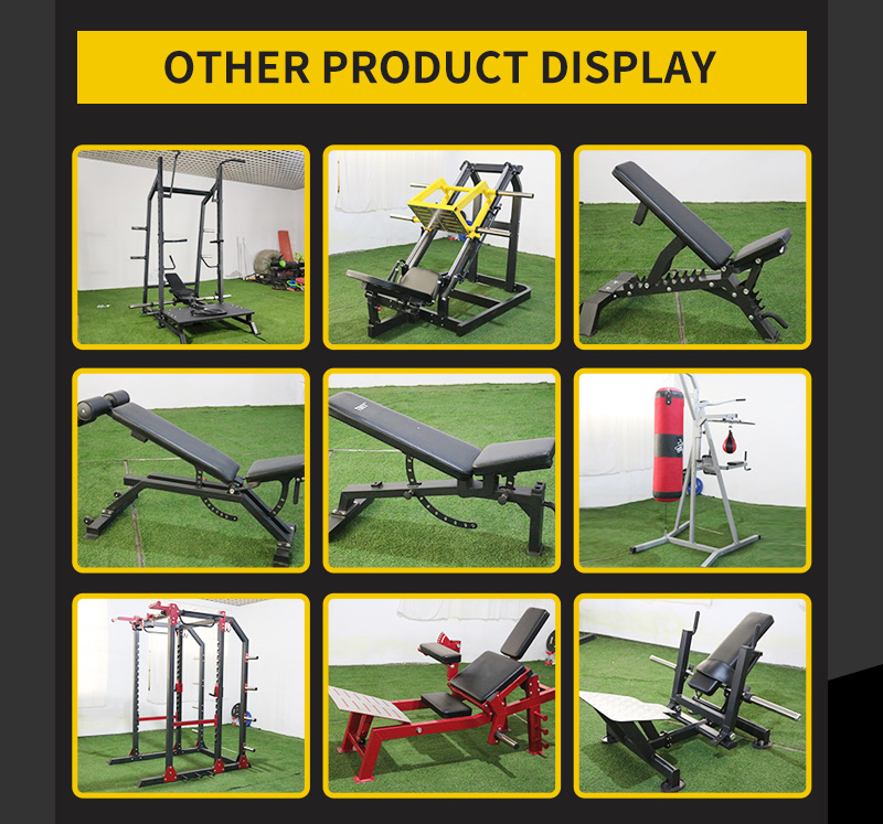 Gym Use and Home Use Back Extension Ab Bench Commercial Roman Chair