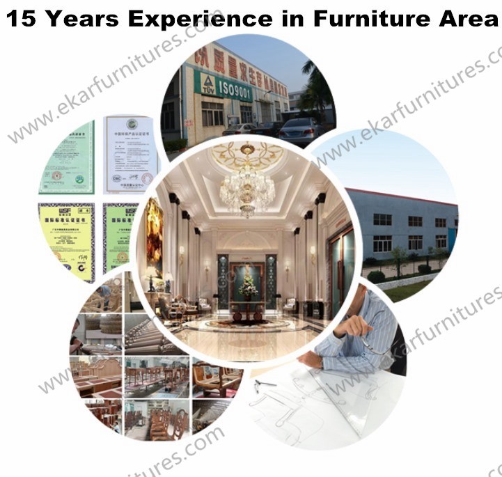 Furniture china guangzhou foshan fashion sofa 321