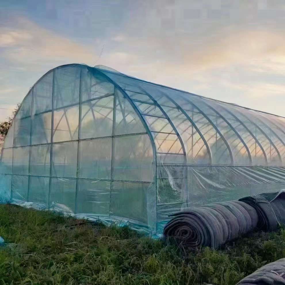 Low Cost Agricultural Tunnel Greenhouses with Greenhouse Hydroponics System
