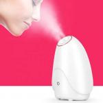 Double Nozzle Nano Ionic Facial Steamer Machine For Face And Hair