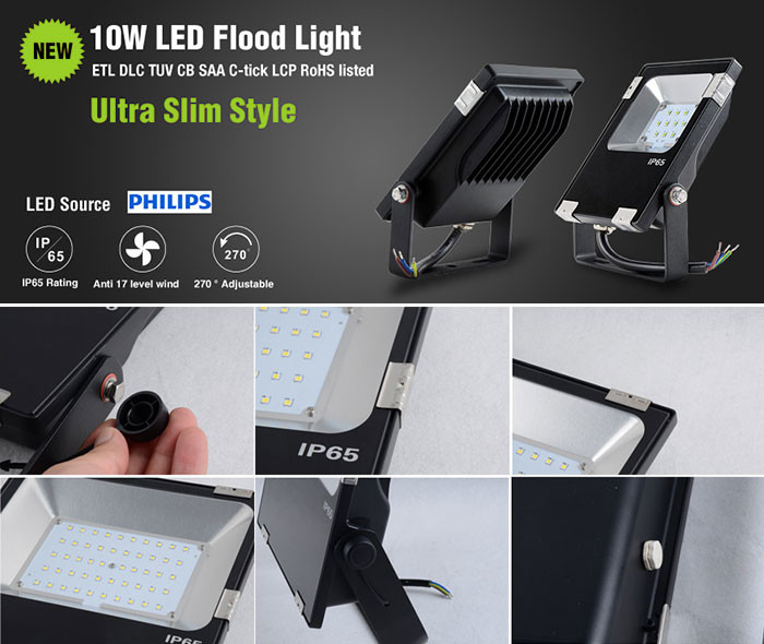 10W LED Outdoor flood light