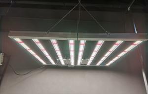 China 600w Indoor LED Grow Light Indoor Plant Grow Lights AC85 - 265V Input Voltage on sale 