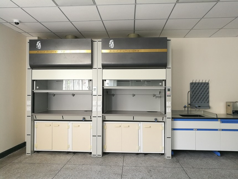 Customized Laboratory PP Fume Hood for Chemical Experiment