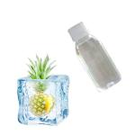 Ice Pineapple Mint Flavor Concentrate Cas 220-334-2 USP Grade