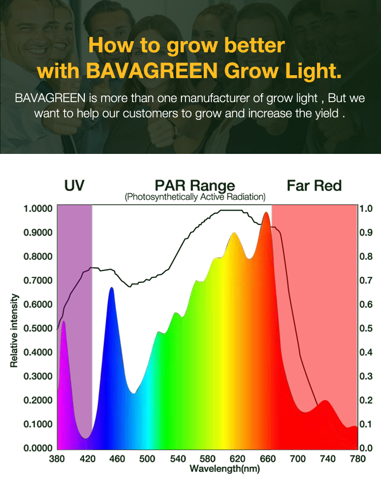 BAVAGREEN 600W full spectrum uv ir samsung lm301 waterproof LED grow light bar 1