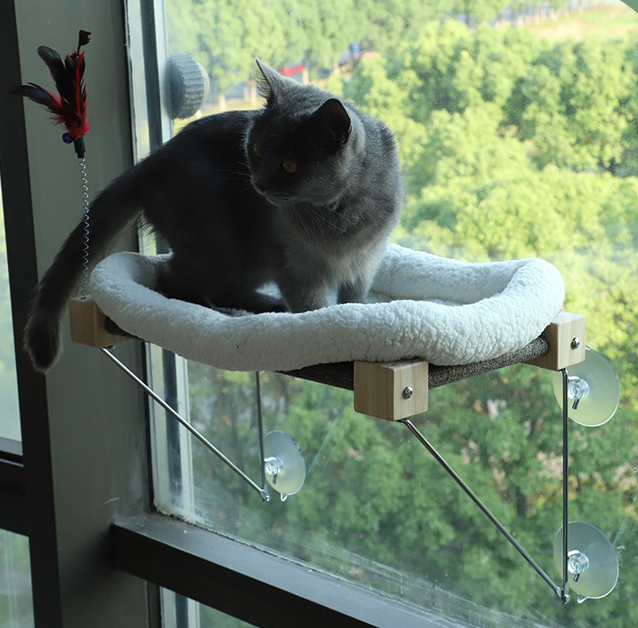 best cat window hammock