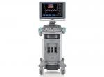 Siemens X300 Medical Ultrasound System Echography Machine