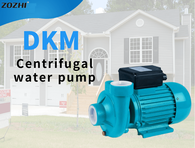 DKM water pump