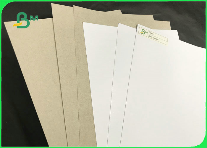 250gsm - 400gsm One Side Coated Duplex Board Grey Back For Packaging Boxes