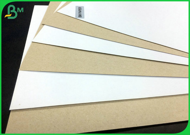 One Side Coated 300GSM Duplex Board White Back With FSC Certification