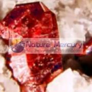 løfte op søster kulstof Nature Mercury Co., Ltd. (Pureal Hi-tech Co., Ltd.) - mercuryliquid-com
