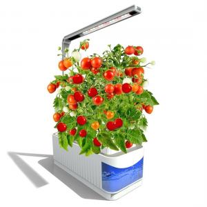 China LED Desk Lamp Hydroponic Pot Smart Indoor Vegetable Garden Self Watering Plastic Planters on sale 