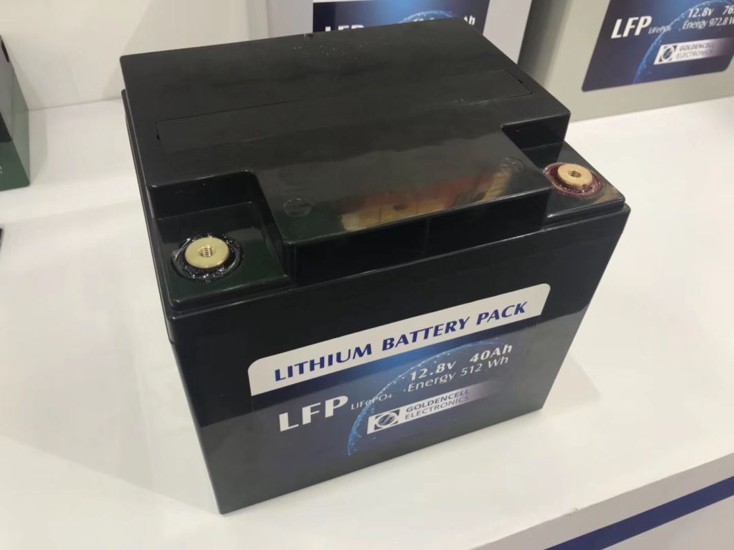 12V 100ah Lithium Ion LiFePO4 Battery for Lead Acid Battery Replacement with UL, Ce Certificates