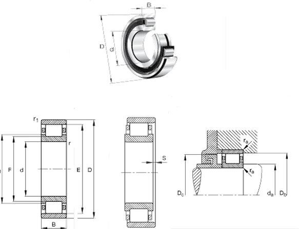 NJ221-E-TVP2 Roller Bearing Sizes Roller Bearing pdf 105x190x36 mm Cylindrical Roller Bearing NJ221