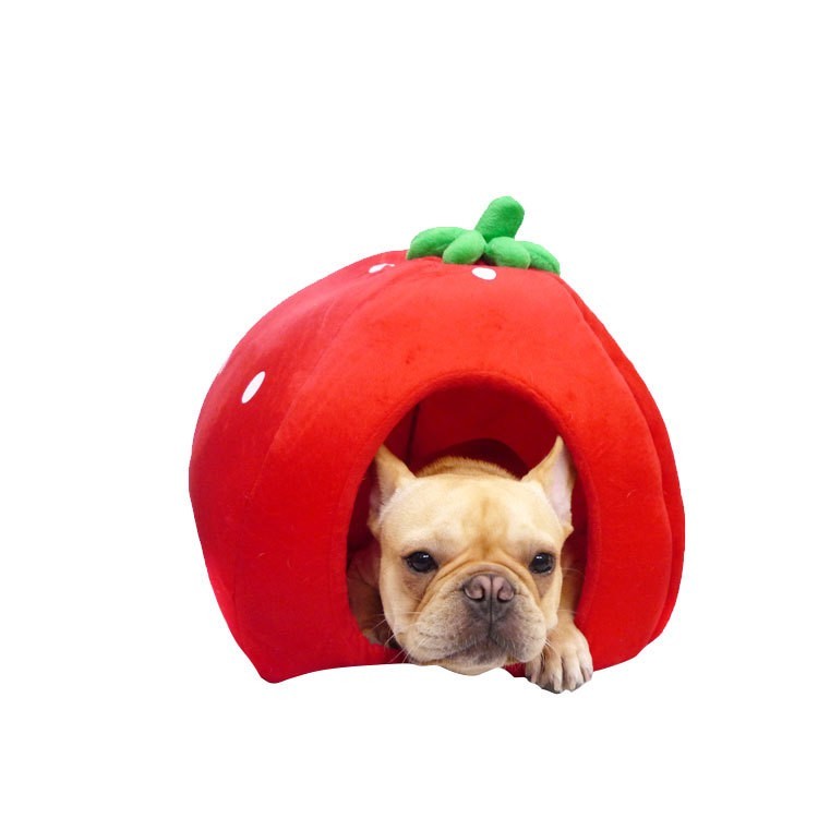 strawberry dog bed