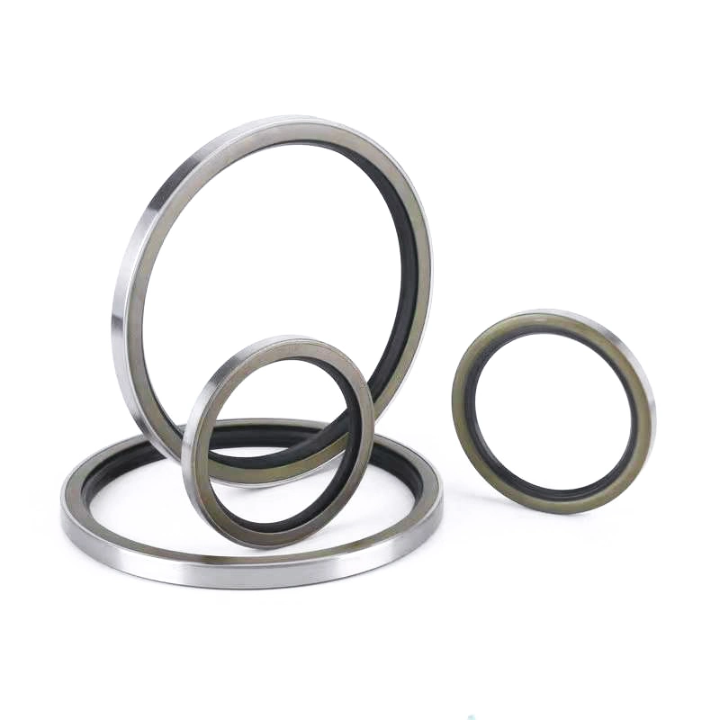 China Supplier Mechanical Shaft FKM FPM Rubber Oil Seal Ring Lip Seal Machinery Seal