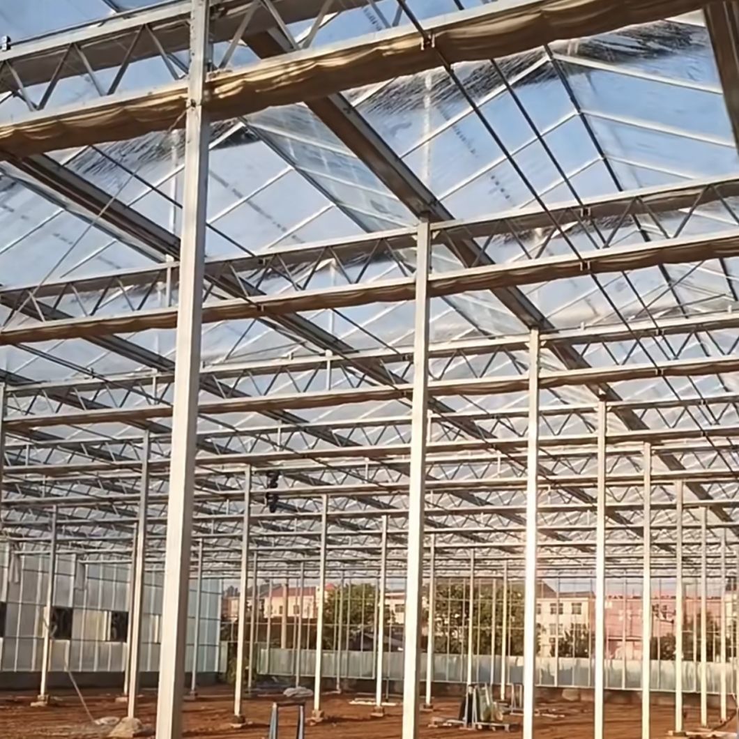 Float Glass Greenhouse Shelter for Growing Plants