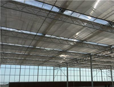 Single Span Tunnel Film Greenhouse with Single Layer Film for Lettuce/Spinach/Cerly