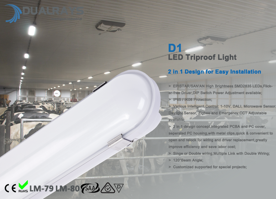 600mm 20W LED Tri-proof light 2400lm and 5 Years Warranty