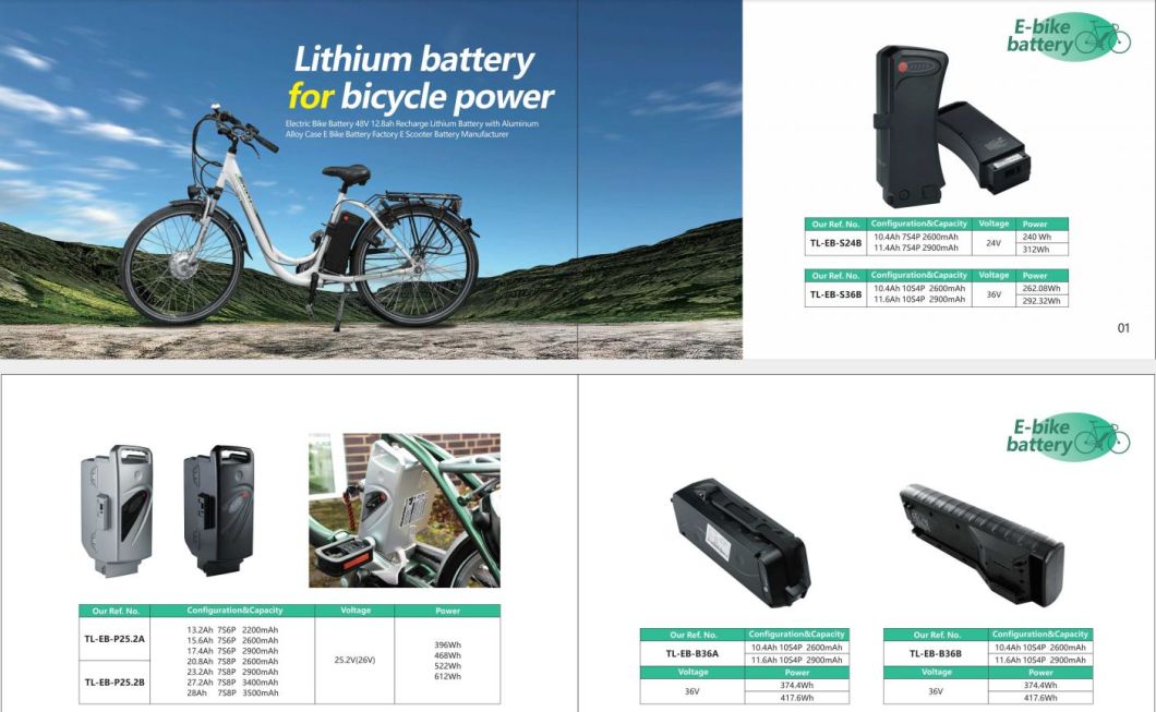 12ah 13ah 14.5ah 15.6ah 17.4ah E Bike Battery Samsung Zhenlong