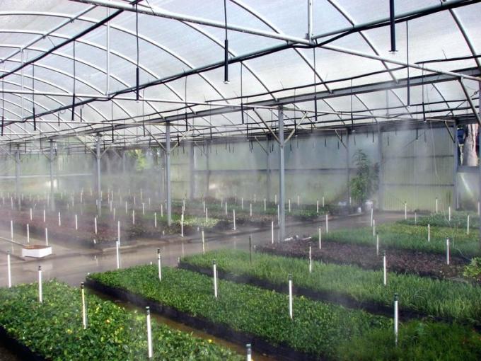 Multispan Sprinkler Irrigation 9m Agricultural Greenhouse 2