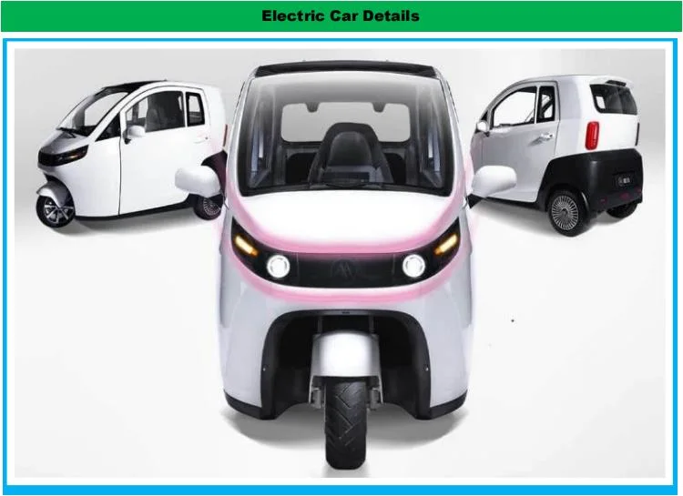 Raysince Latest Model a-380 Electric Three Wheel Car Zhidou 3-Wheel Electric Cars with EEC Certificate