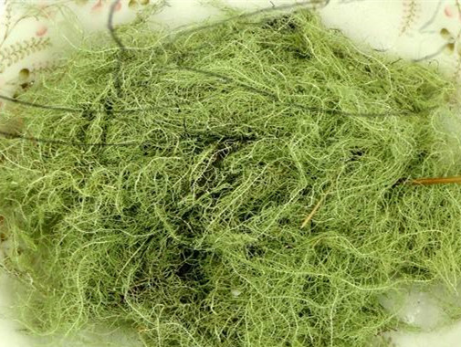 Provide Natural Lichen Usnea Extract Antibiotic Usnic Acid 98%